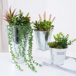 Fabrica de aprovizionare directă artificială suculentă în oală de fier