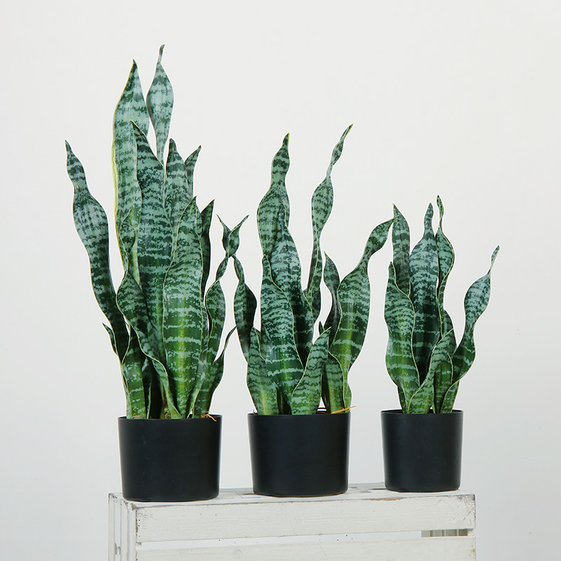Vânzare fierbinte verde Acasă Plant artificial Plante decorative pentru camera de zi