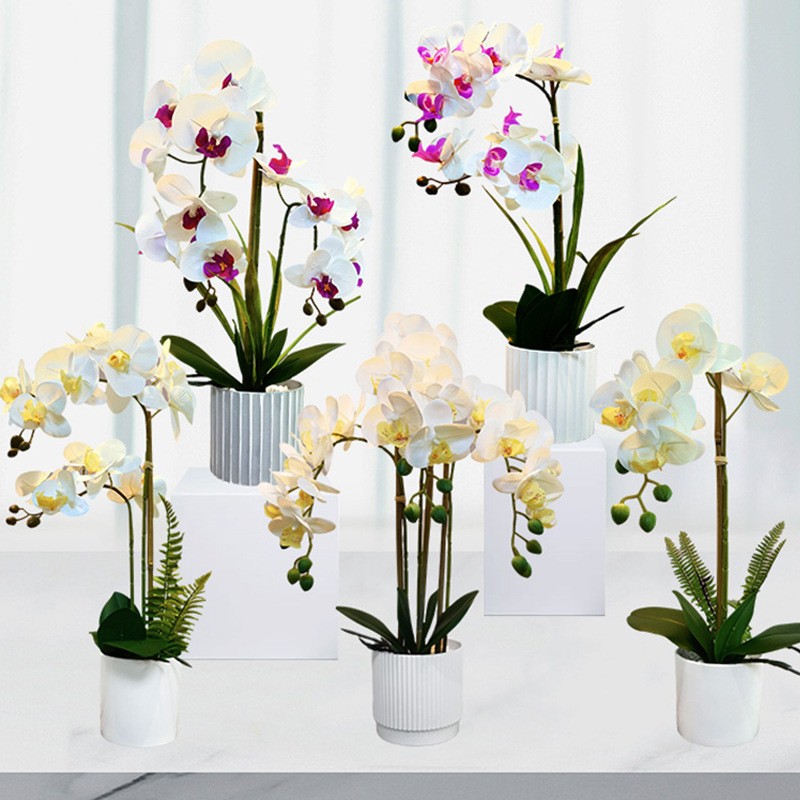 Cu ridicata reală touch alb artificial fluture floare de orhidee în oală albă