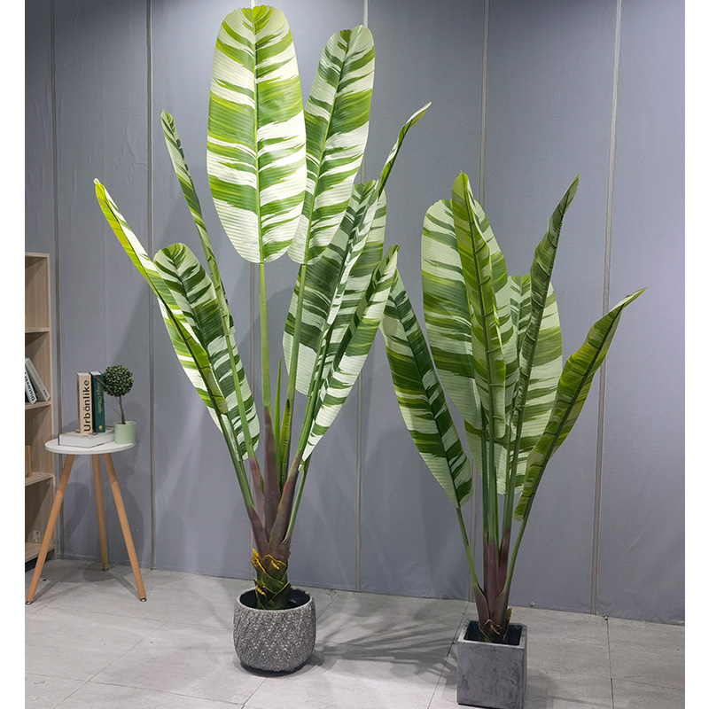 [Frumusețea palmelor de banane] Palm artificial din plastic de plastic - elaborarea unuinou tărâm de verdeață pentru casa ta!