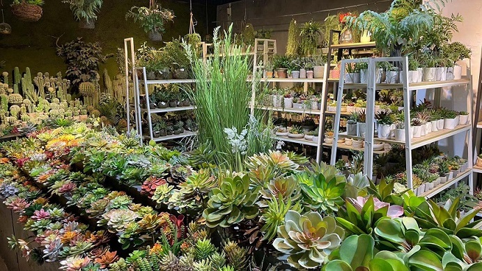 11-03 Artificial Succulents.jpg